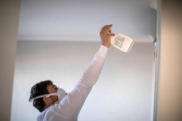 Professional Mold Remediation in Barton, NM