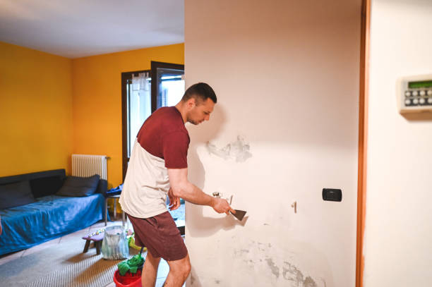 Best Preventive Mold Services in Barton, NM